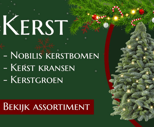 Kerst afbeedling