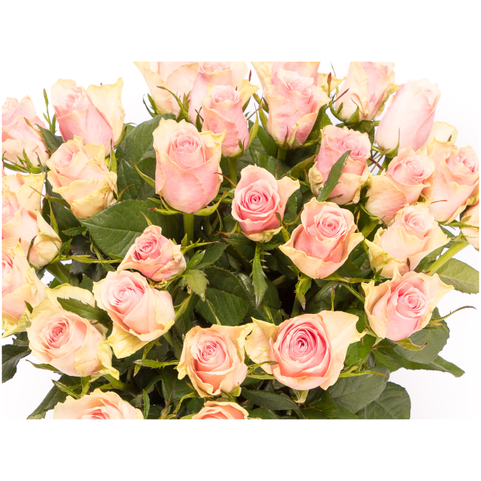 Roze rozen boeket bestellen