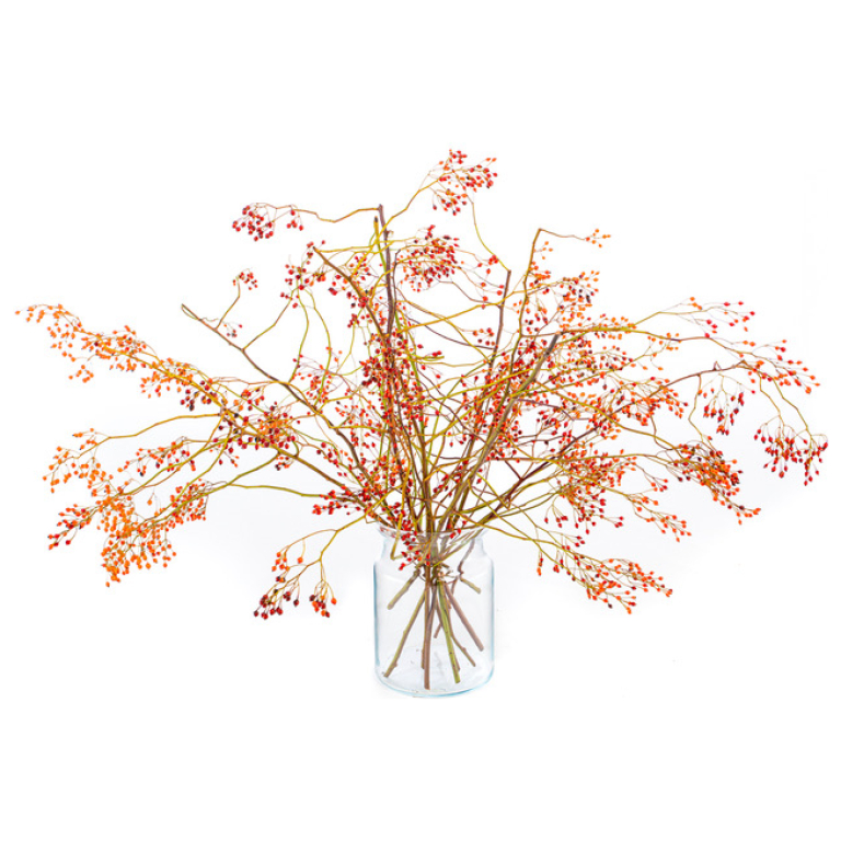Rozenbottels De Gier Bloemen Rozenbottels De Gier Bloemen