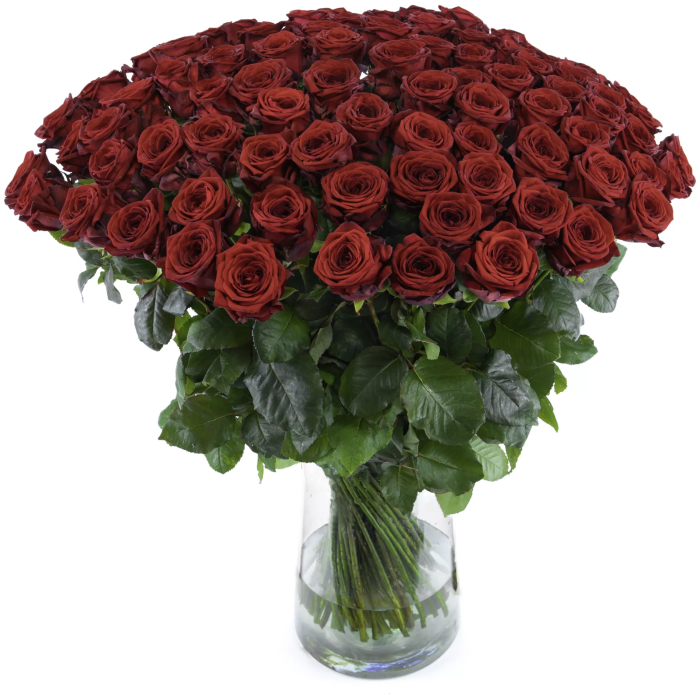 100 rode rozen bestellen