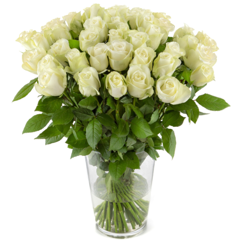 50 witte rozen bestellen