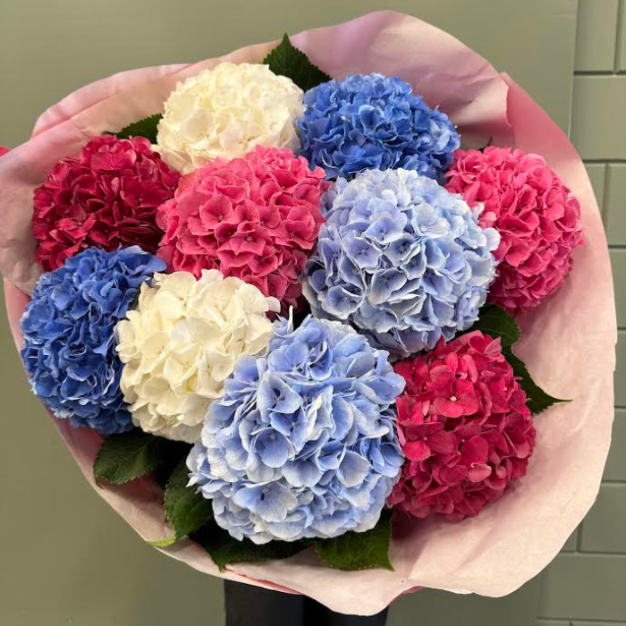 Hortensia boeket XXL